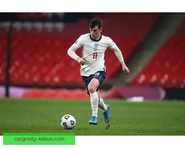 赖斯在欧洲杯比赛中的数据分析与表现趋势解析